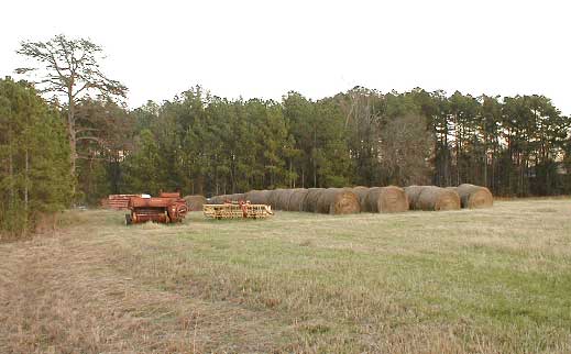 Hay Bales